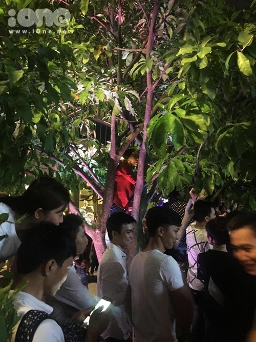 fan-leo-cay-xem-my-tam-hat-tren-pho-di-bo-nguyen-hue-5