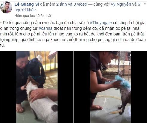 Nhóm bạn trẻ giải cứu 5 chú chó tại khu chung cư Carina. Ảnh chụp màn hình.