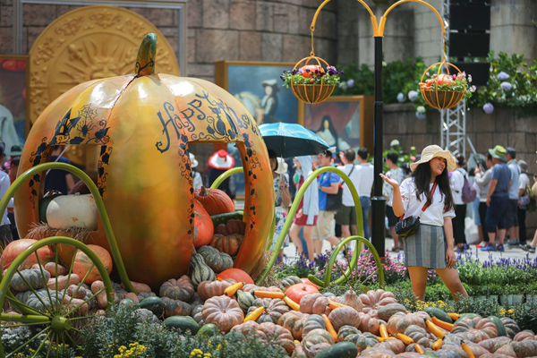 từng góc vườn lấp ló trái bí vàng ẩn hiện giữa hoa cỏ